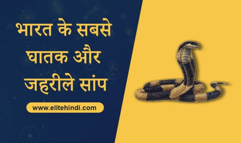 भारत में पाए जाने वाले सबसे घातक और जहरीले सांप 1 सबसे घातक और जहरीले सांप India