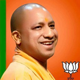 yogi up